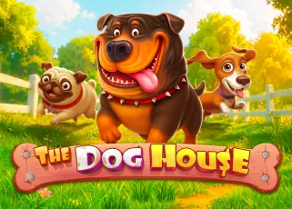 สล็อต 1688 เว็บตรง วอ The Dog House ทดลองเล่นฟรี